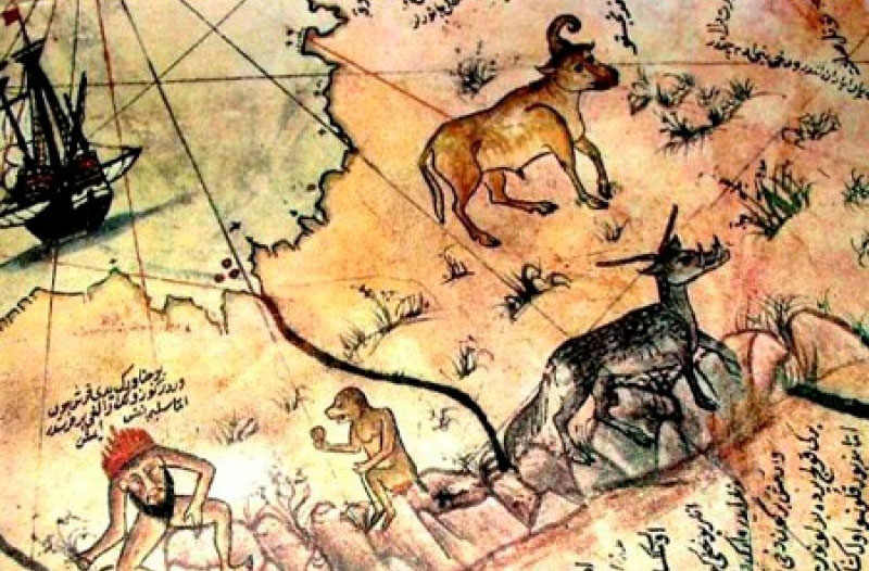 4,哥伦布地图
皮瑞·雷斯地图于1929年被德国神学家阿道夫