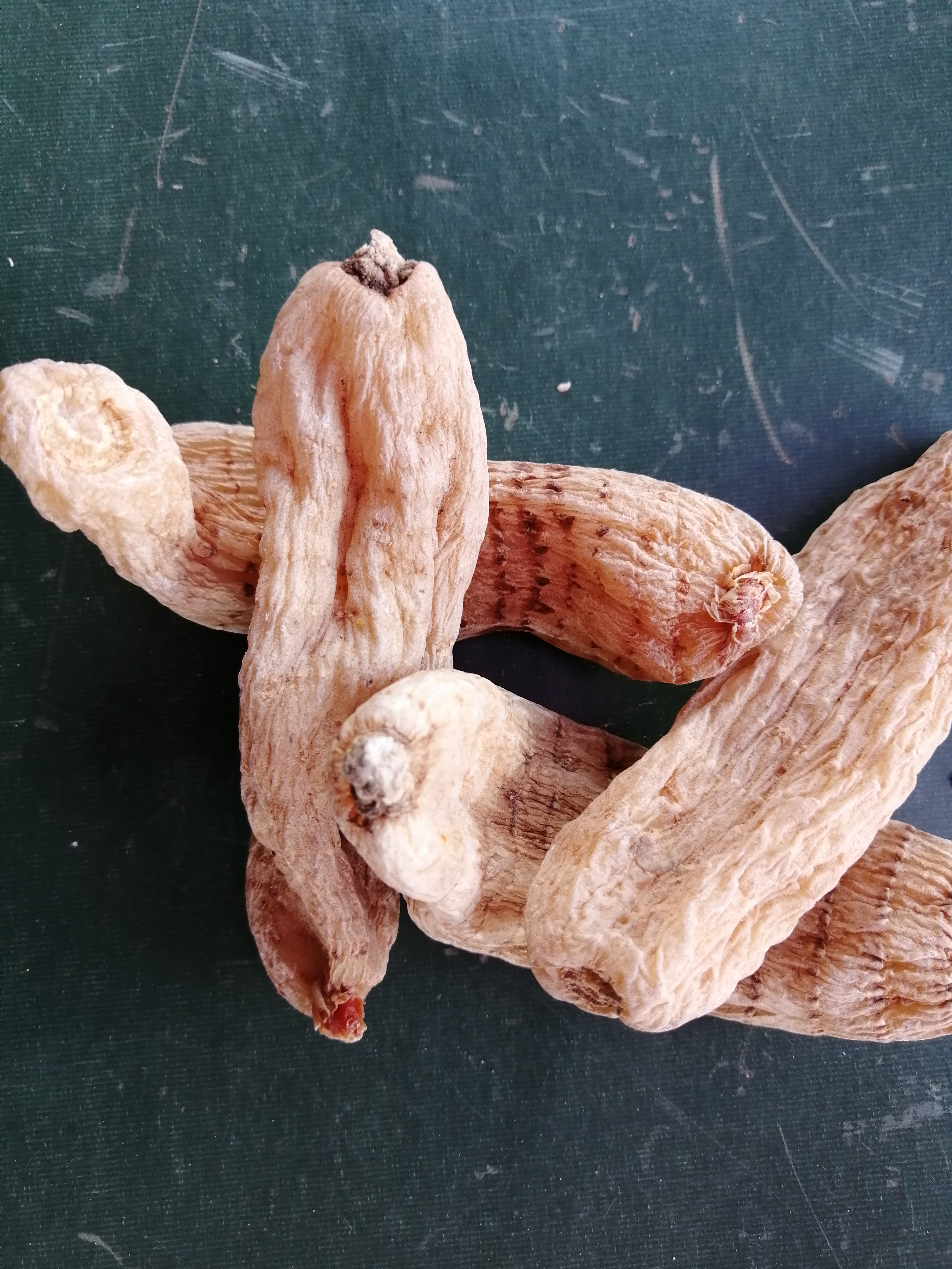 天麻以根部入药,性味平,甘,归肝经,具有平肝,息风,止痉的功效;主要