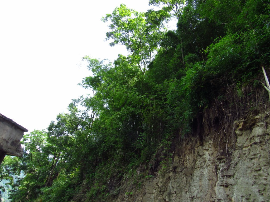 走進貴州黔東南黃平縣重安鎮瓦角村