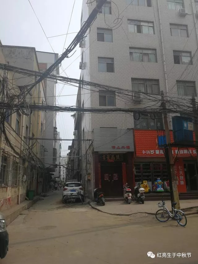 洛阳东下池:柳暗花明又一村