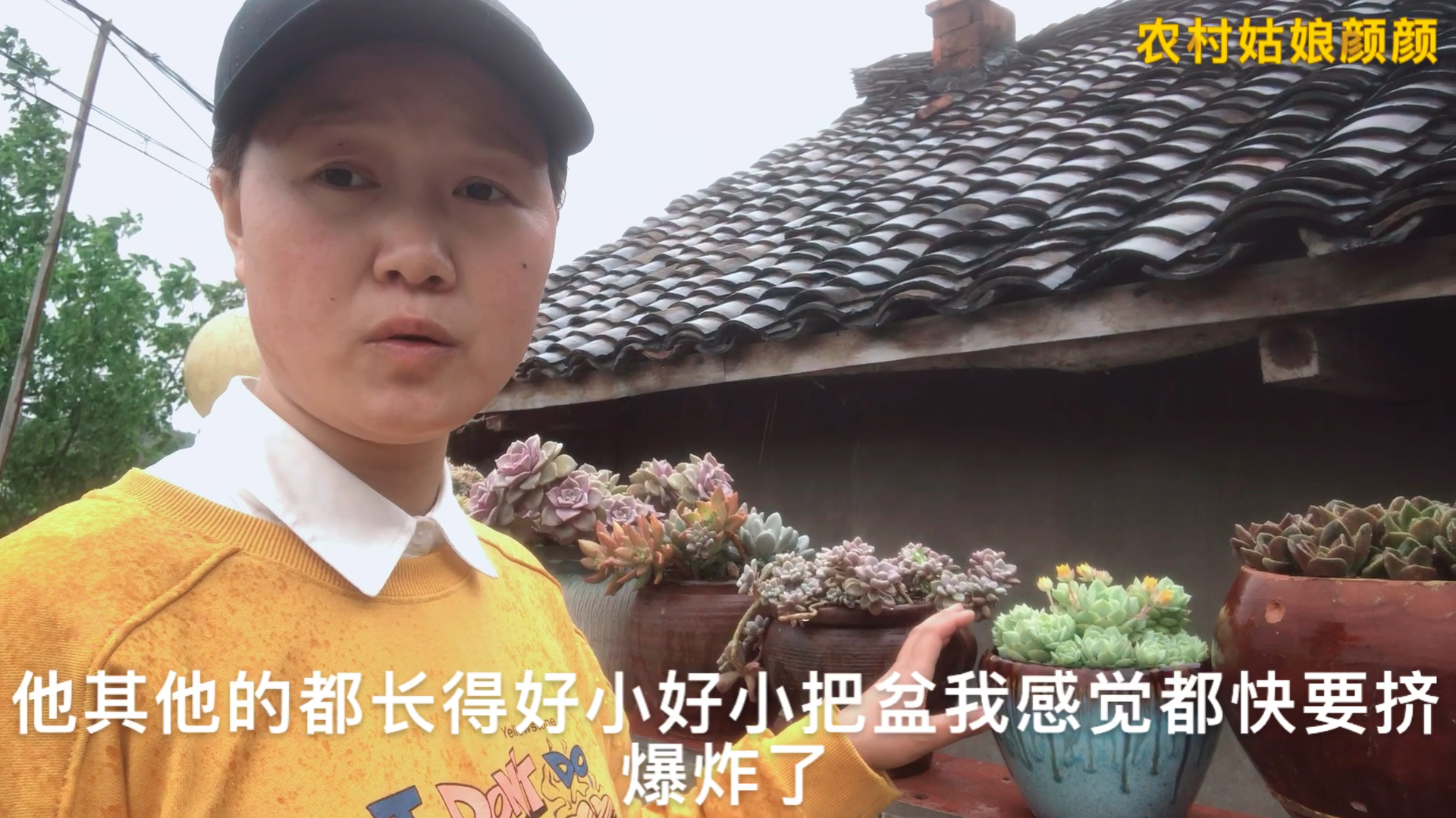 静夜太爆盆了,换盆都无从下手,看看怎么换盆的?