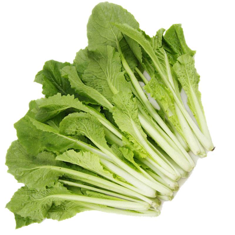 家长们给的学龄早餐营养够吗?