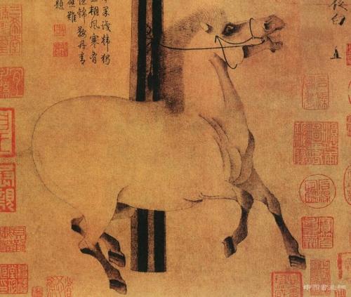 传宋毛松绘猿图 是南宋画家毛松创作的一幅绢本着色画,该图中这只赤耳