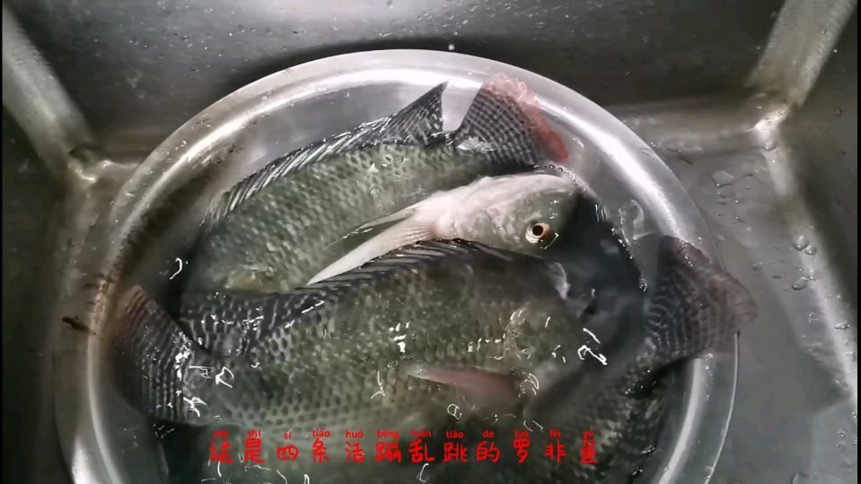 大厨教你罗非鱼四种家常做法总有一款适合你的口味
