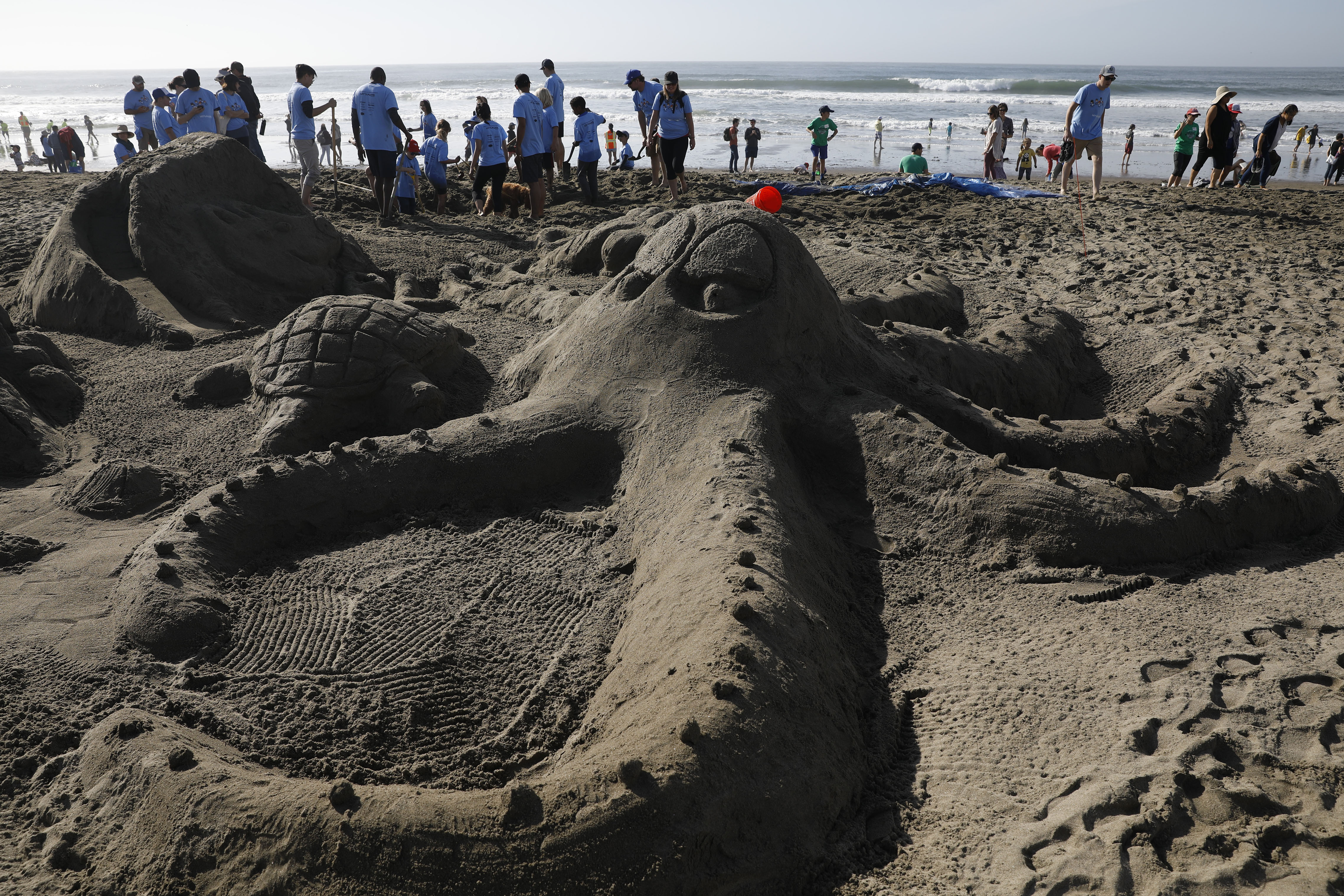 旧金山举行沙雕比赛(1)