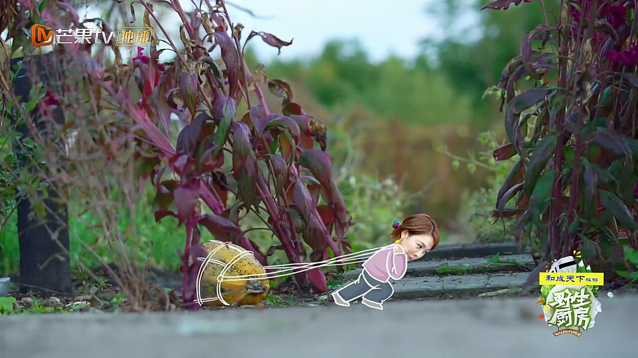 《野生厨房》中的柳岩居然比李诞更好吃懒做!