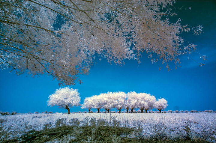 神秘的"红外线拍摄",你有了解过吗?