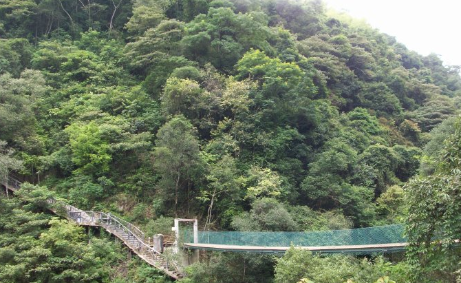 八乡山大峡谷又称粤东大峡谷云卷峡或云卷峡,位于广东省丰顺县城西南