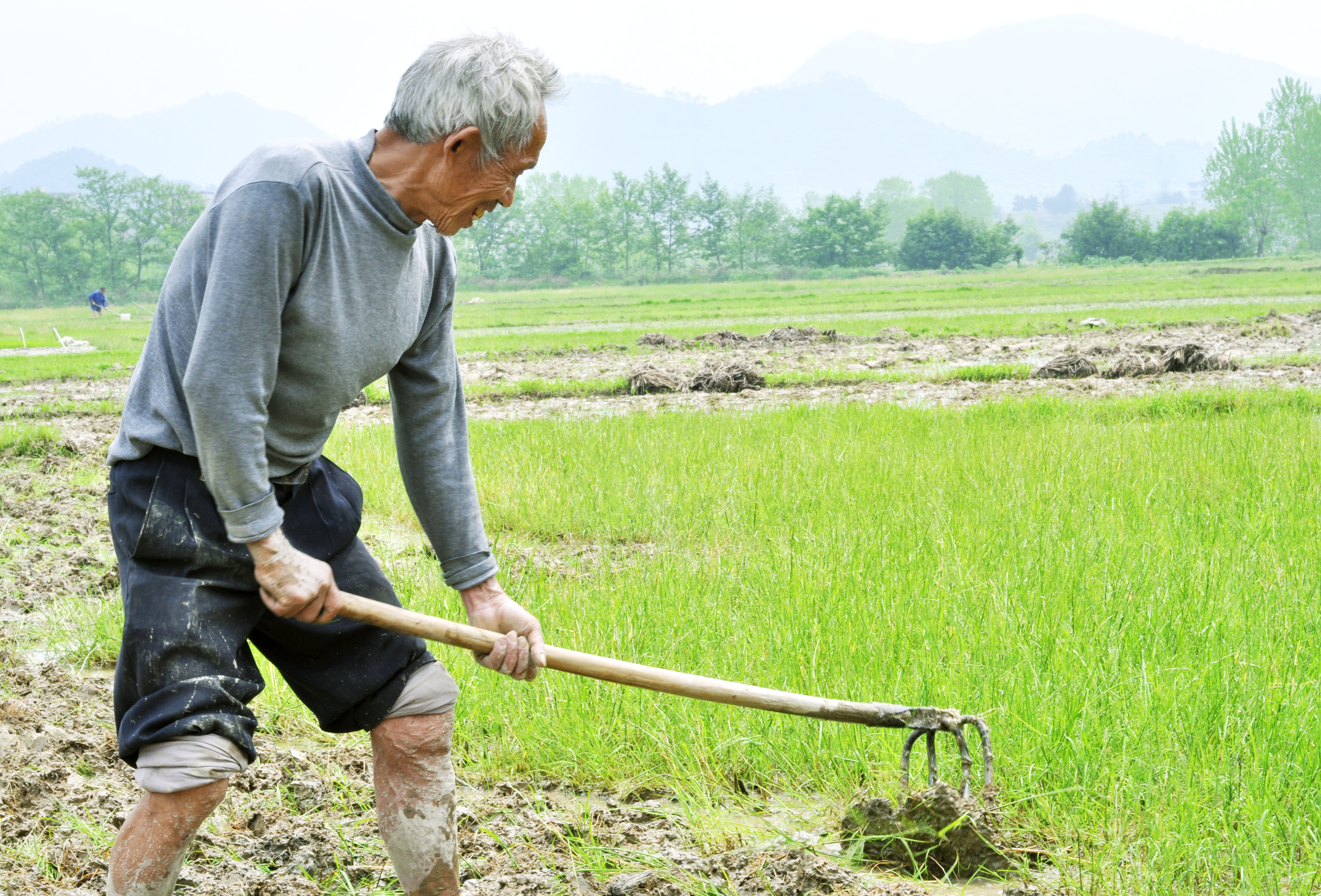 老农民种地图片高清图片