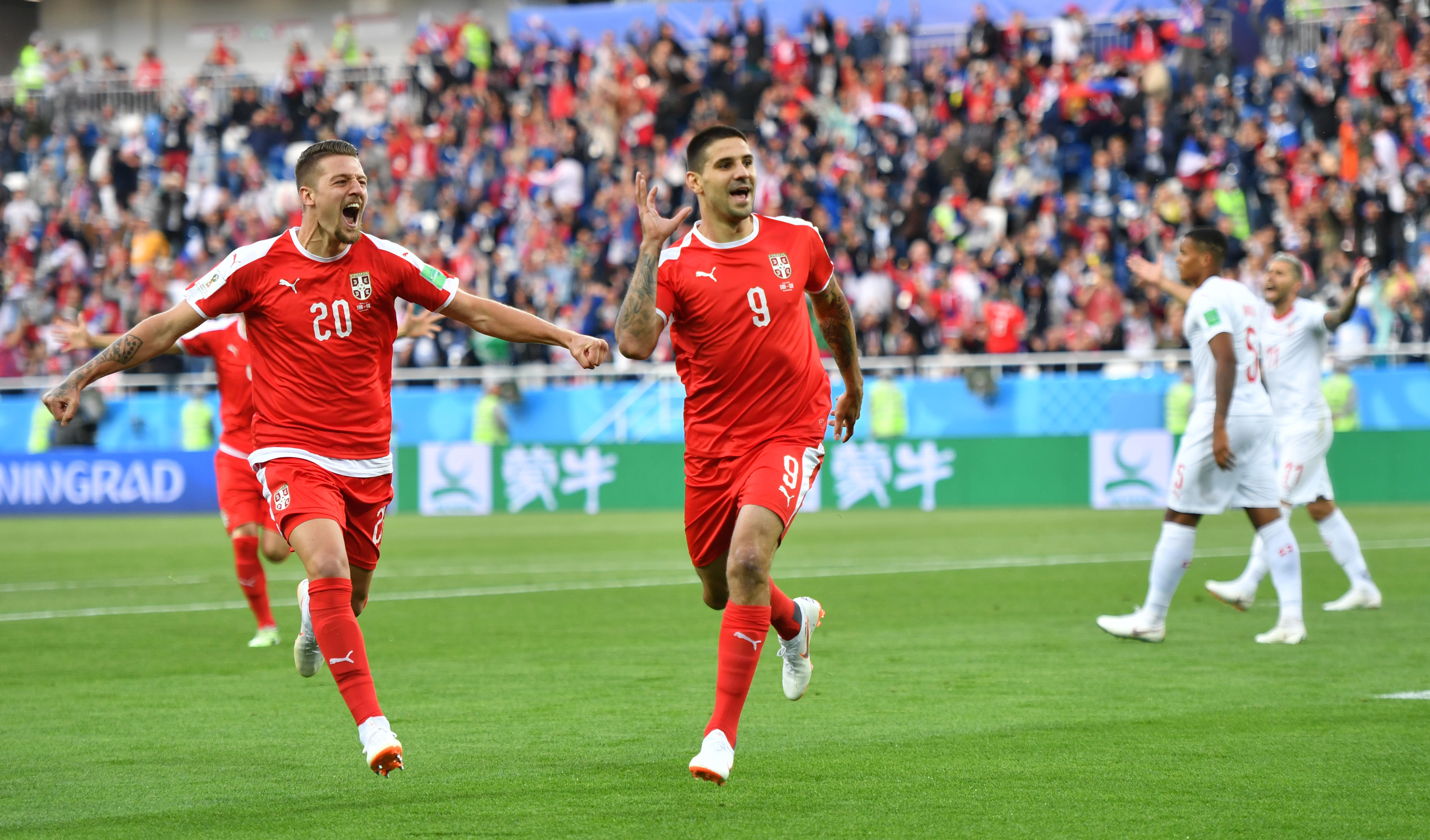 足球——e组:塞尔维亚队米特洛维奇进球(8)