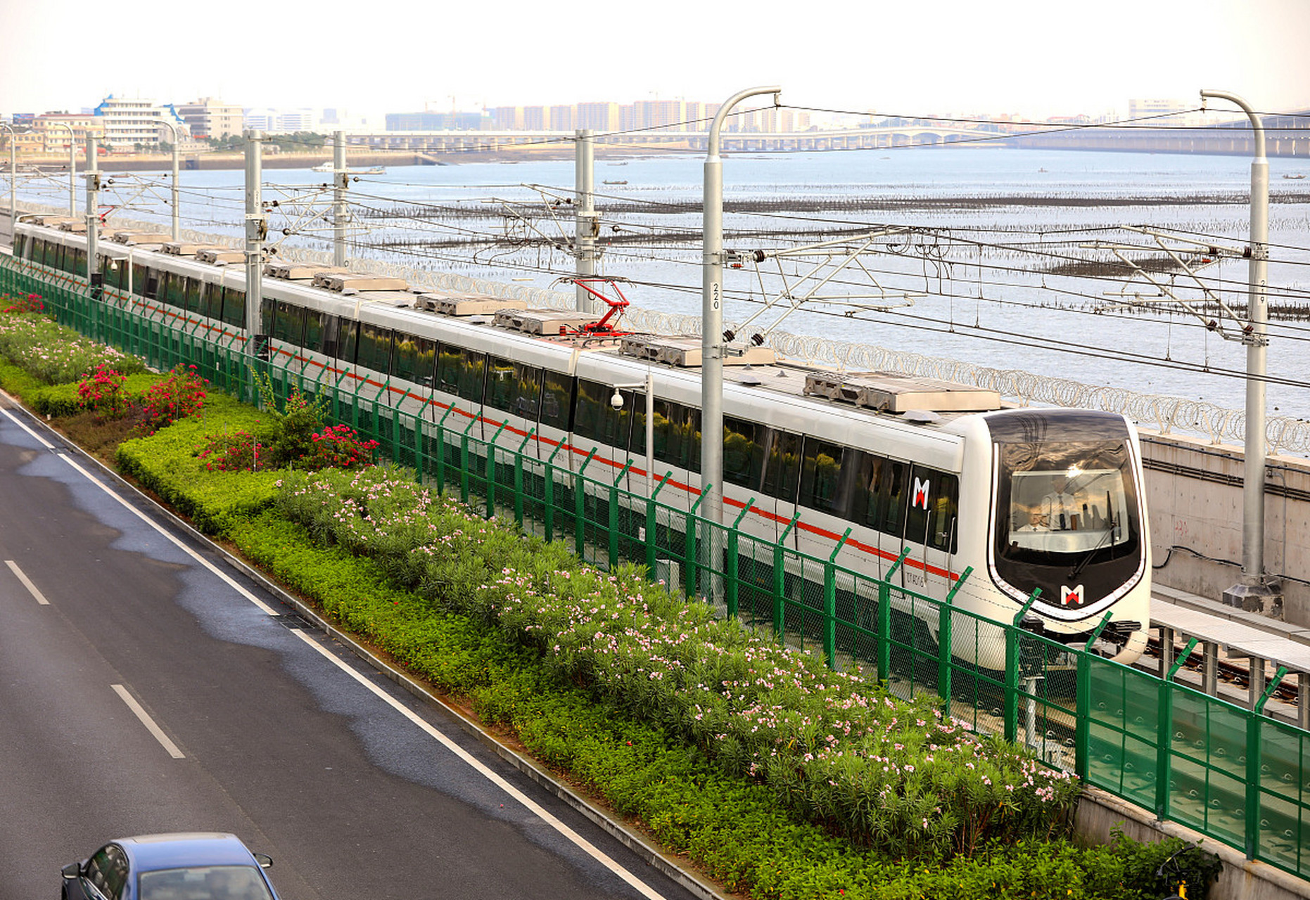 根据阿牛收集统计的数据,2023年10月30日,也就是本周一,厦门地铁苛鼢