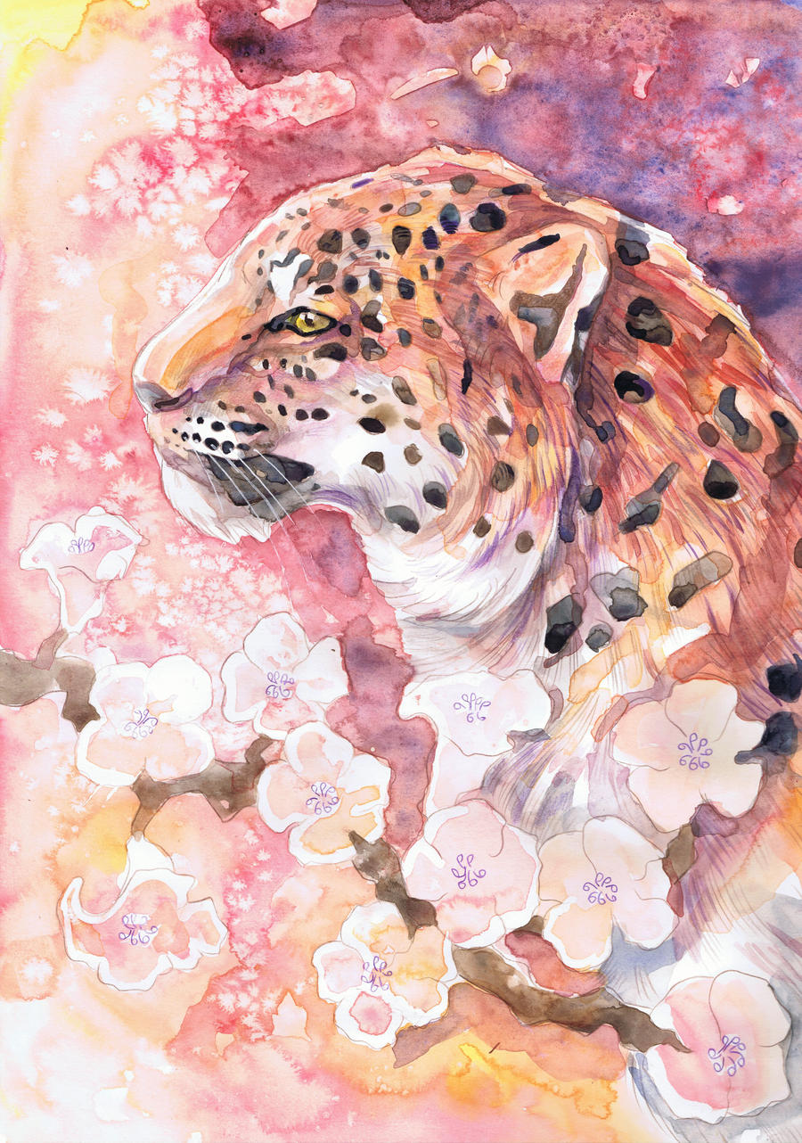 英国画师一组纯手绘的水彩动物插画!色彩靓丽动物绘制的惟妙惟肖