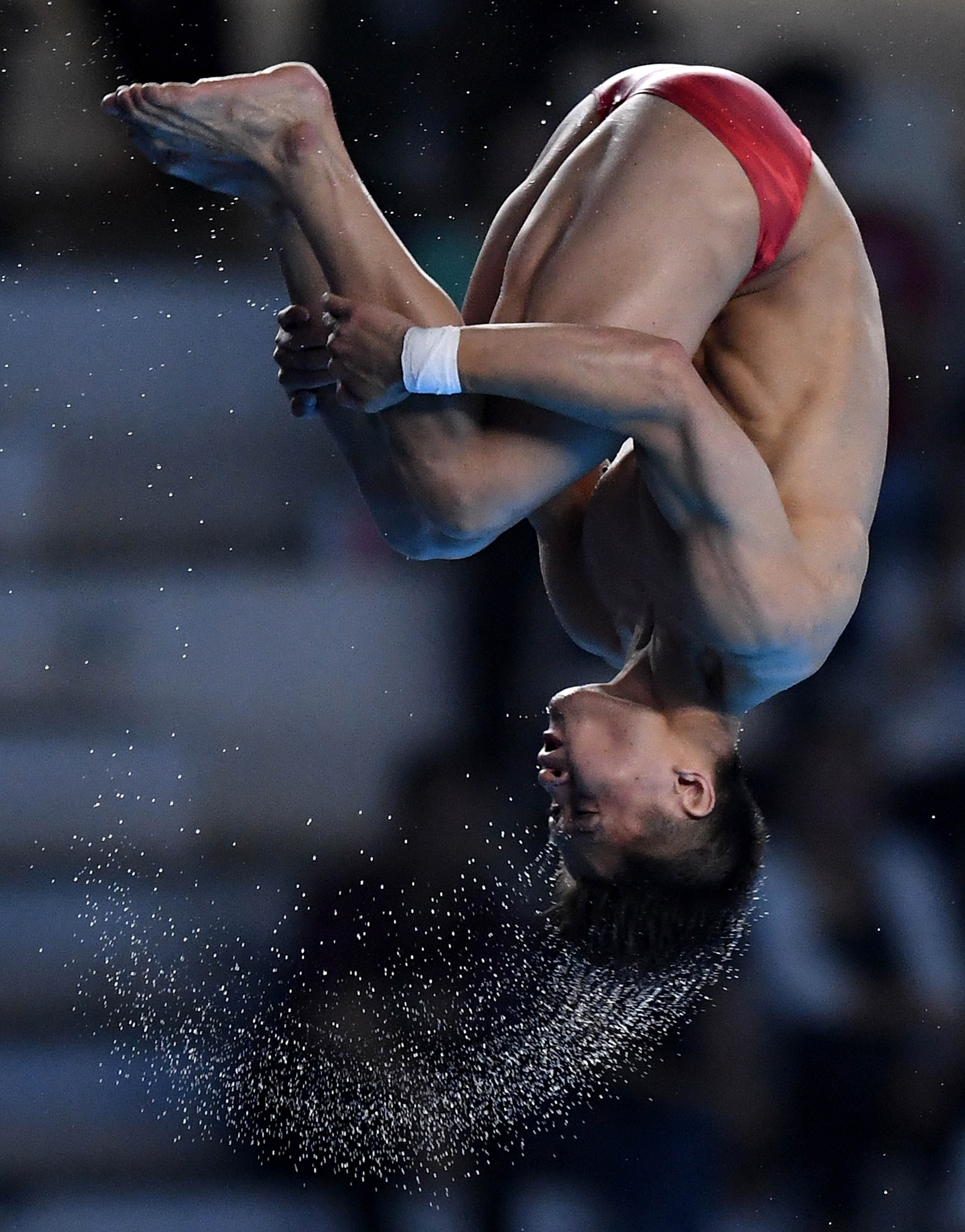 跳水—男子10米跳台:中国选手杨健夺冠(7)