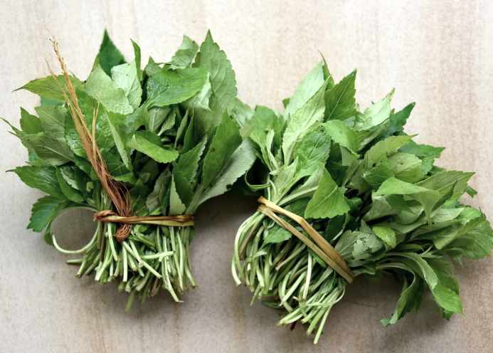 野生农村的野菜苦菜可以生吃,蘸酱.