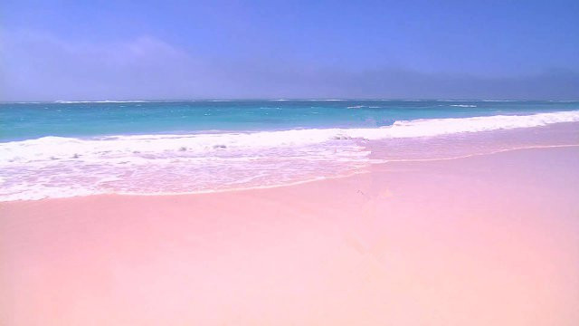 宛如童话世界一般的粉色沙滩,快和心爱的人一起去吧!