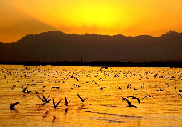 沙湖,这里风景优美,想来的人还等什么呢?