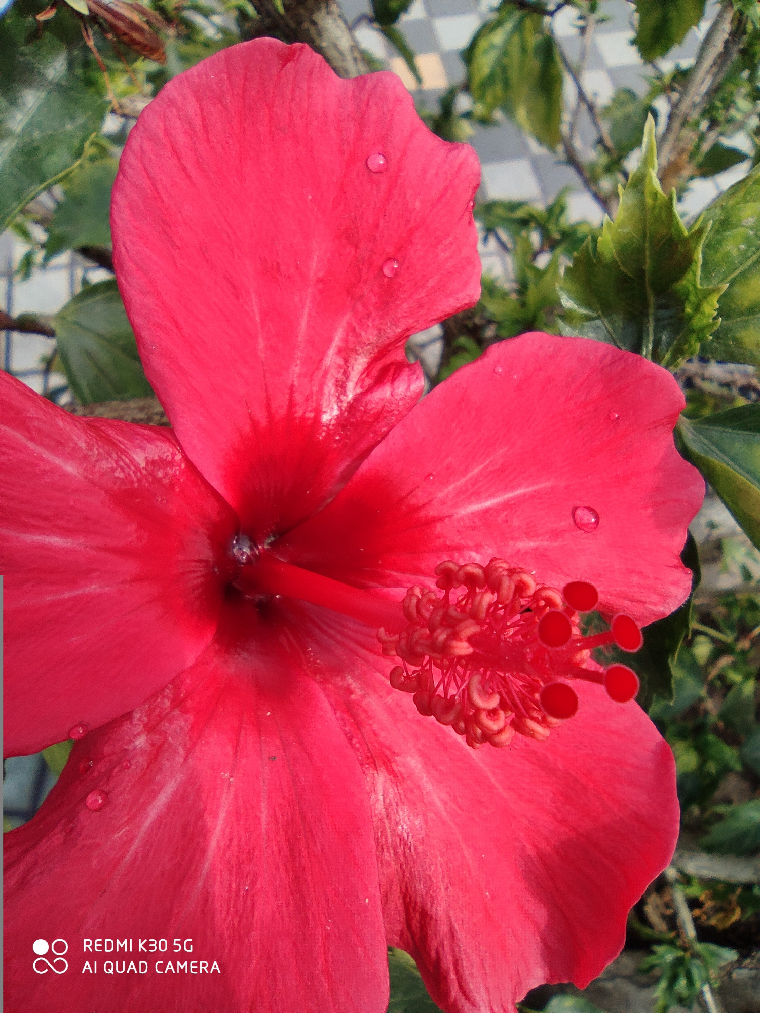 红米k30 5g评测:1999元除了双模5g,拍照也很不错