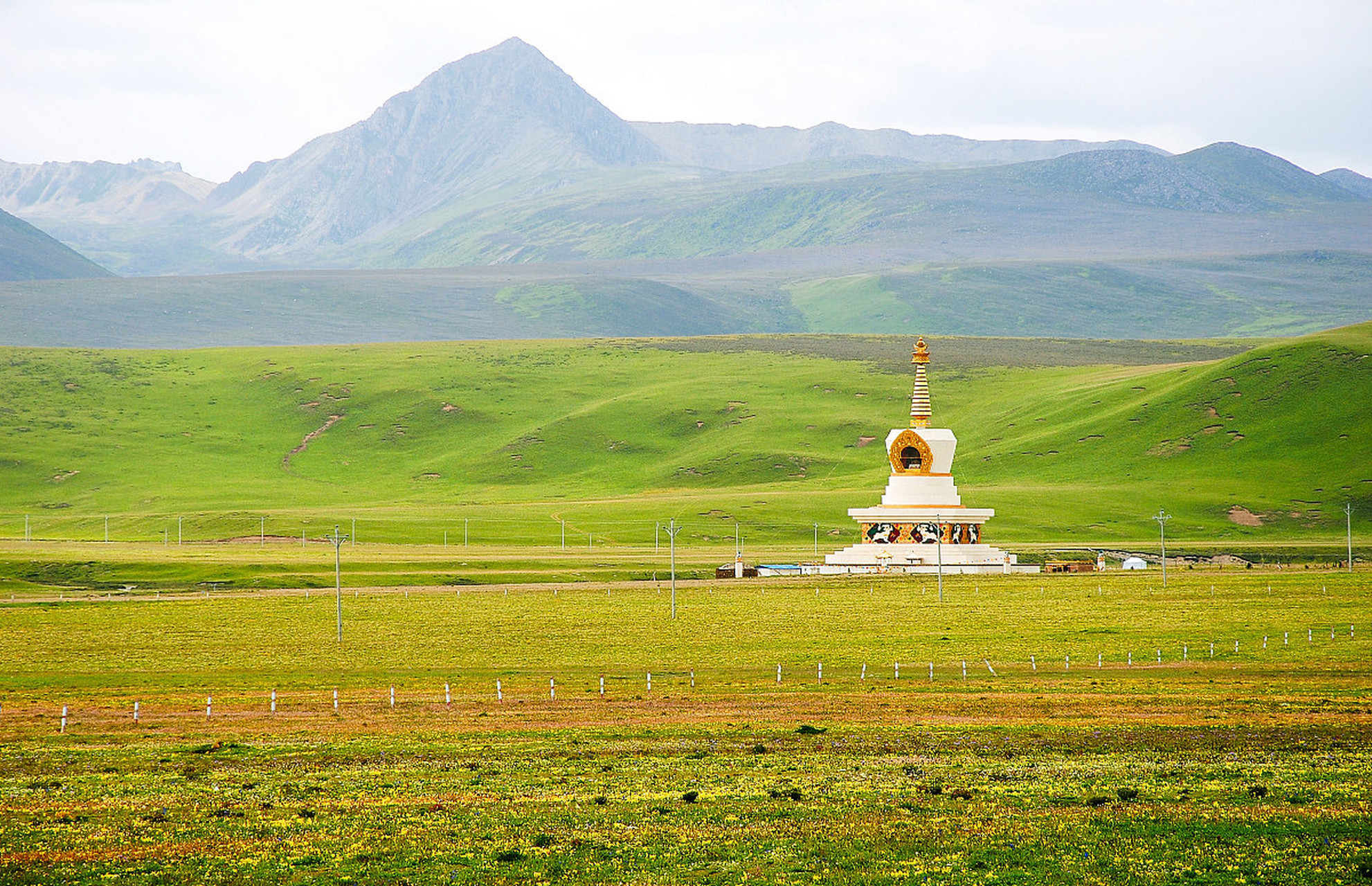 路美文旅# 理塘,洁白的仙鹤,请把双翅借给我,不飞遥远的地方,到理亮