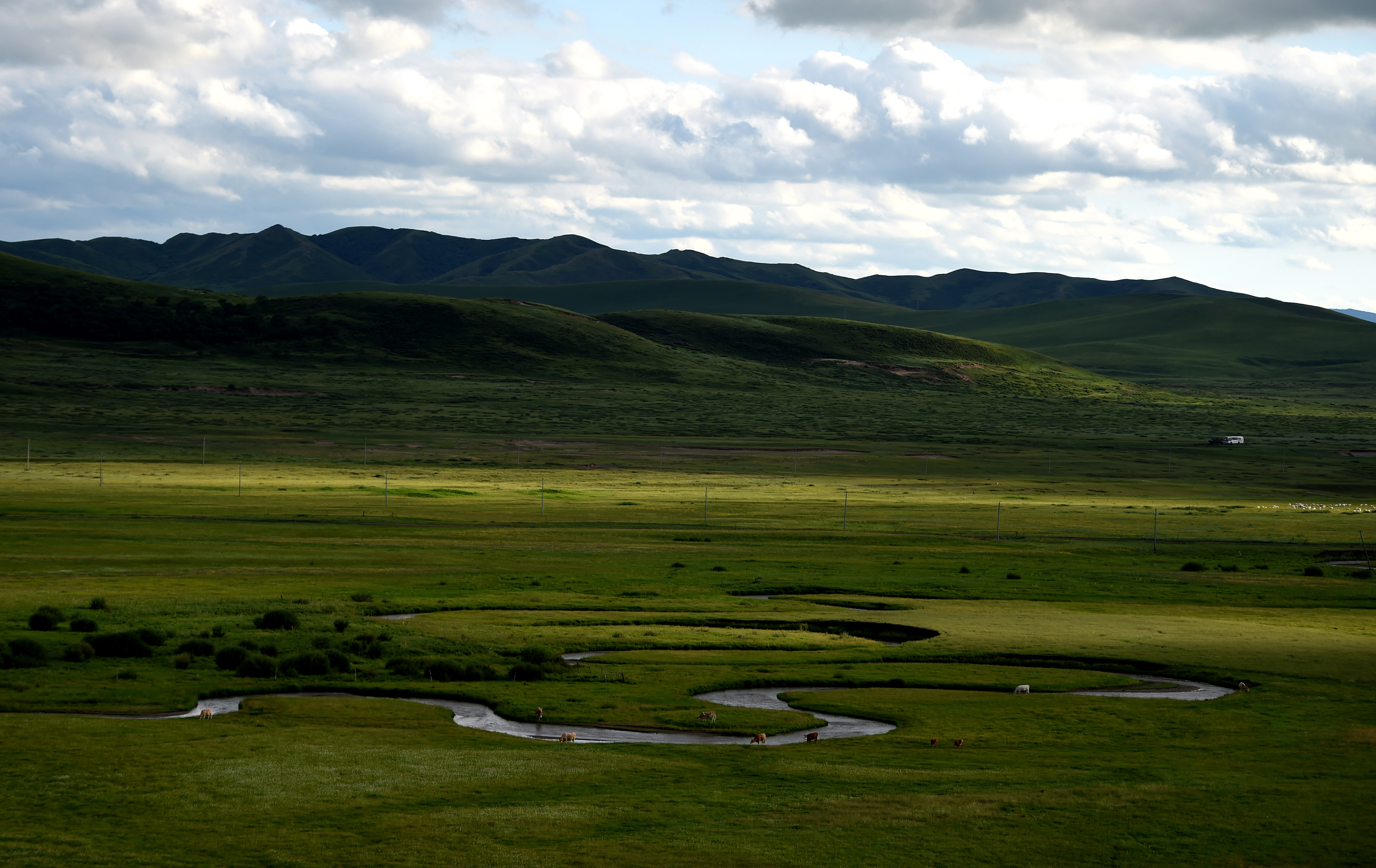 盛夏草原美如画