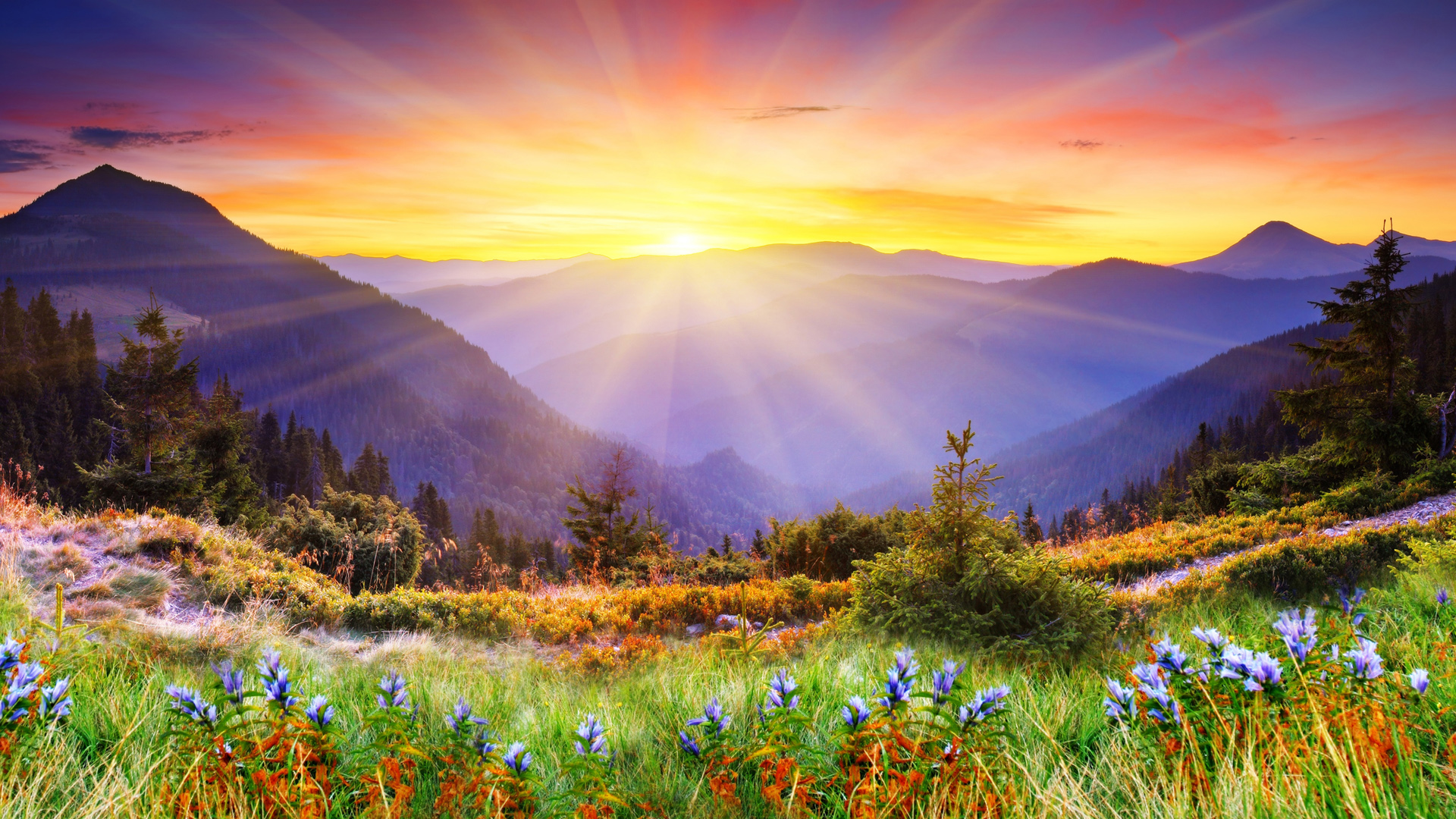 值得朋友圈分享的句子,句句让人暖心,发朋友圈很不错!