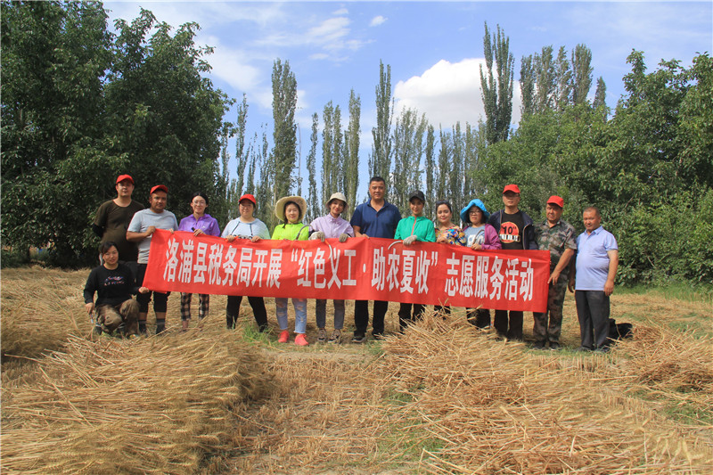 志愿入户助夏收 真情服务暖民心