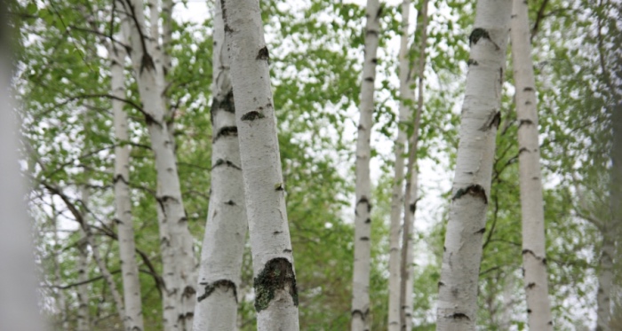 家用中央空调商家的转型,为何已走到众家电经销商前面?-家电圈官网