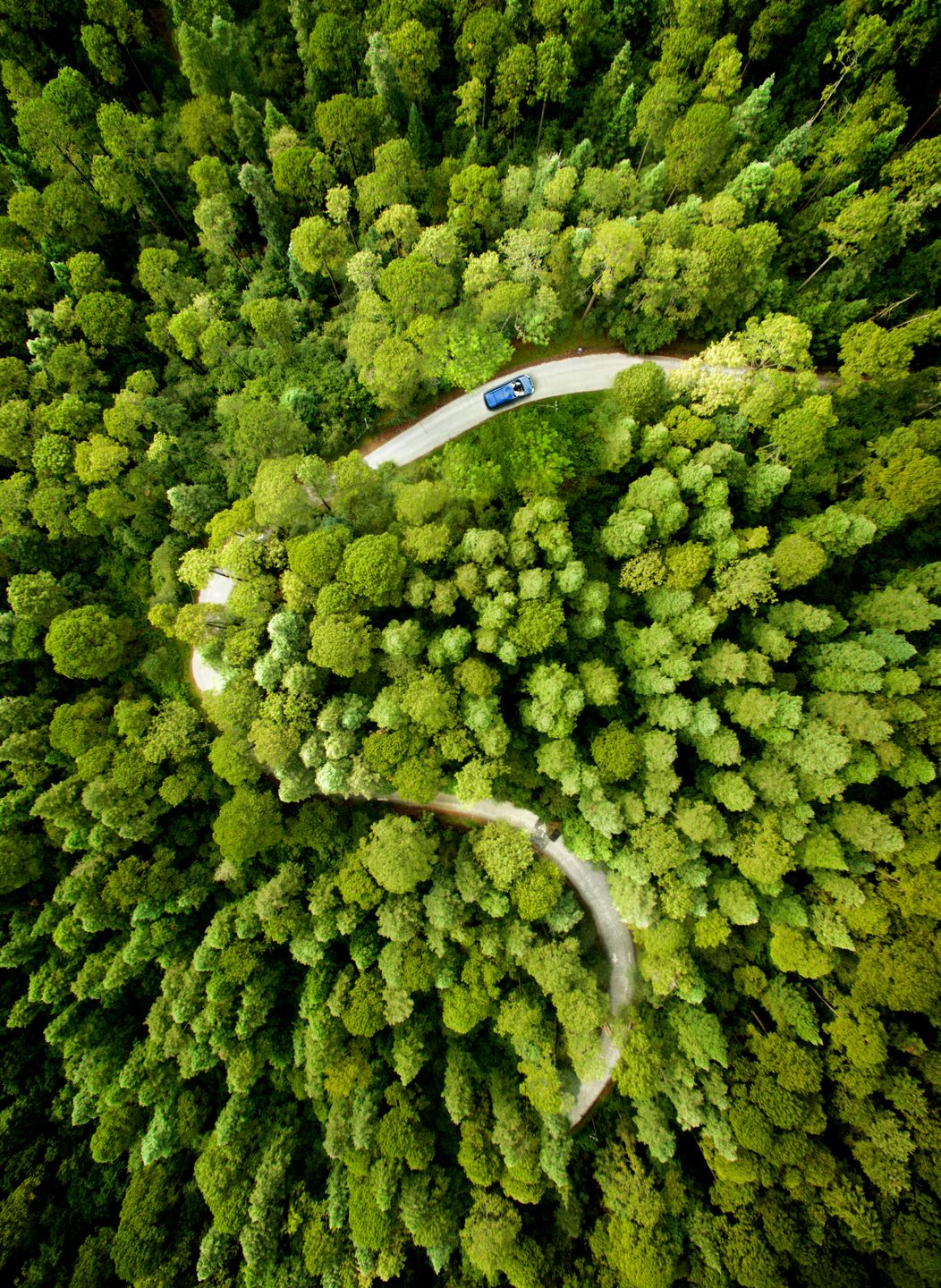 美国人最爱的旅程:蓝岭公园大道沿途美景,每行一步都是风光大片