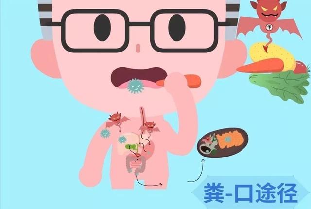 门把手,电梯按键,是新型冠状病毒的传播媒介:预防要注意小细节
