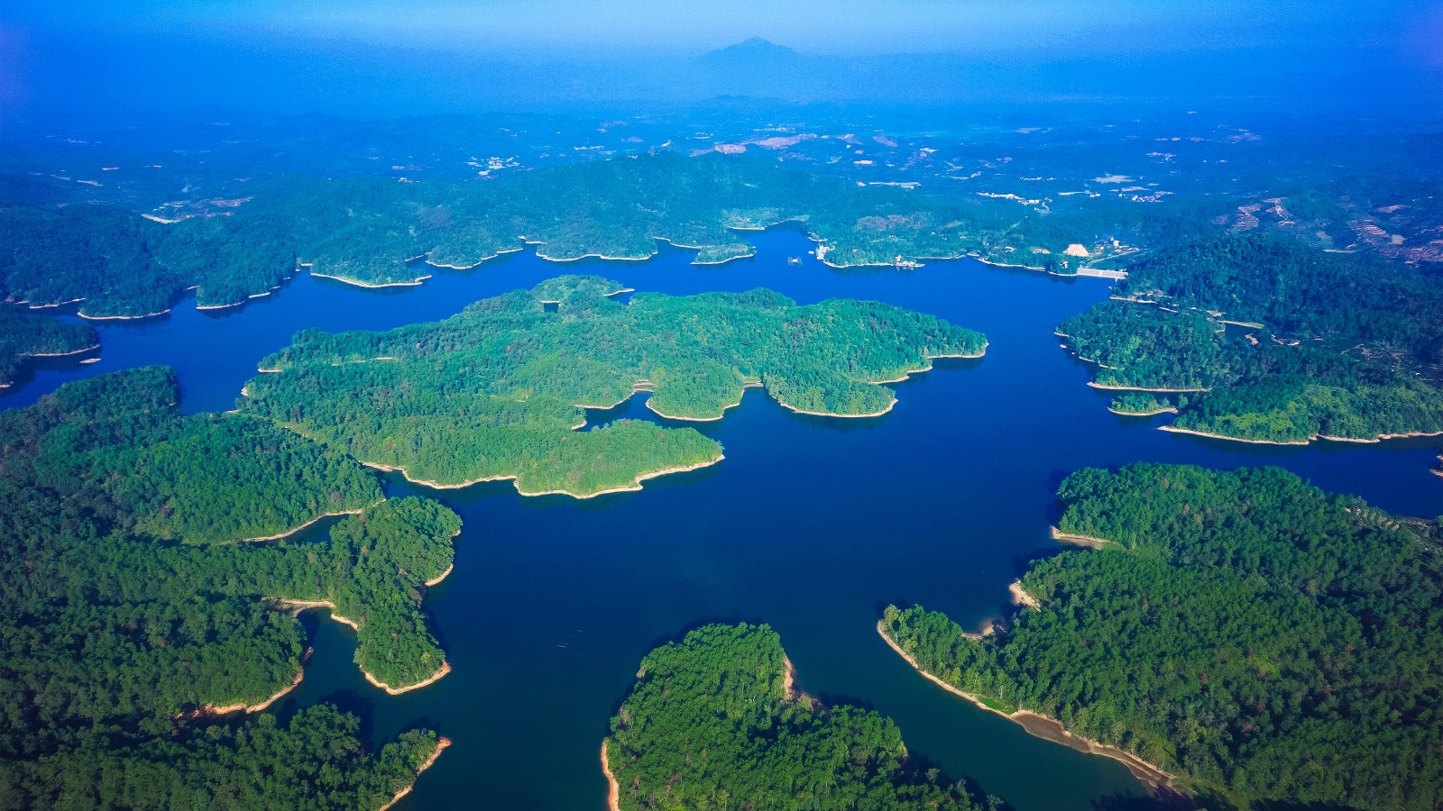 江西抚州第一个百亿农业产业,竟是靠种橘子来的