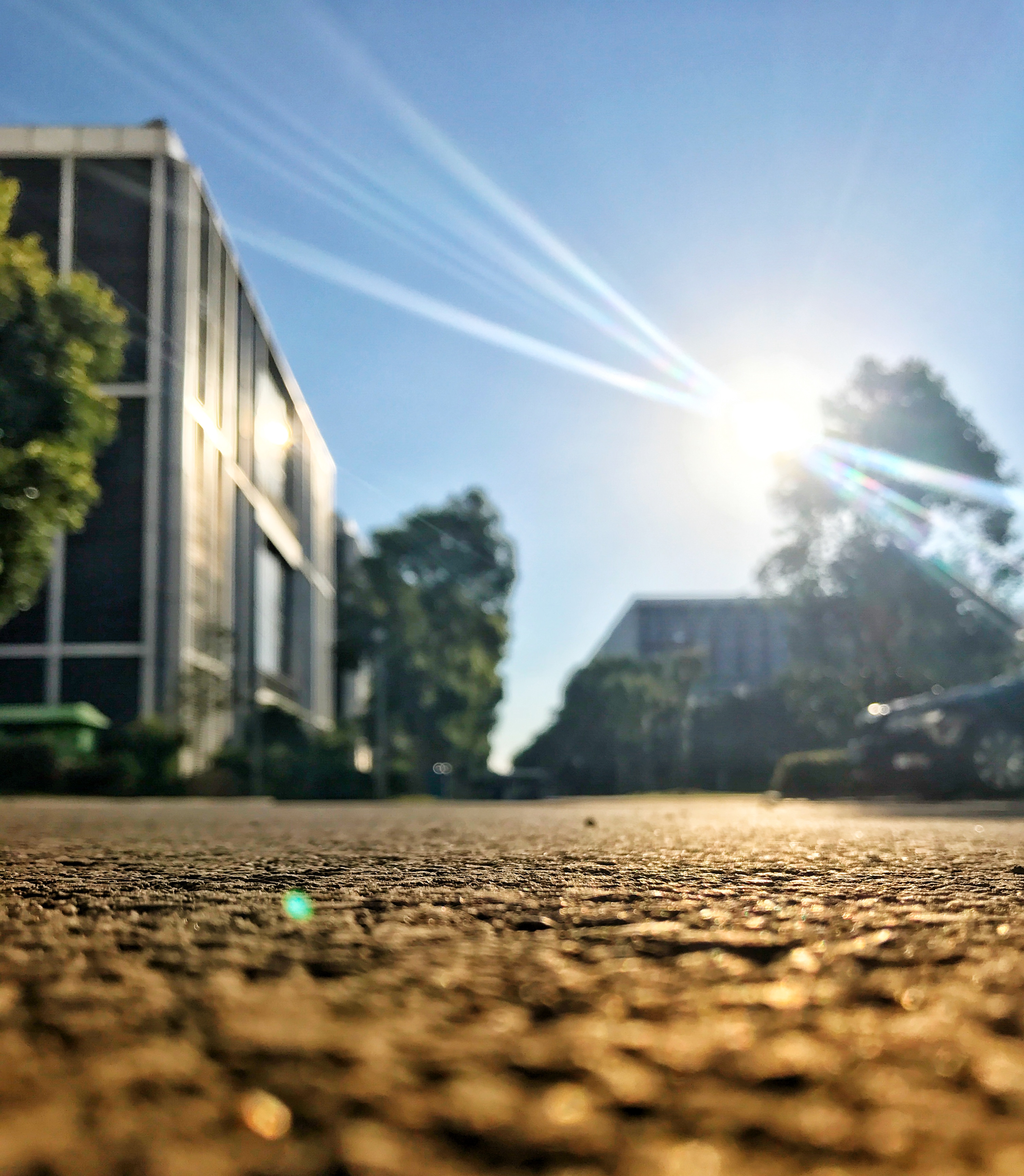 「读书笔记」《摄影师的画板》