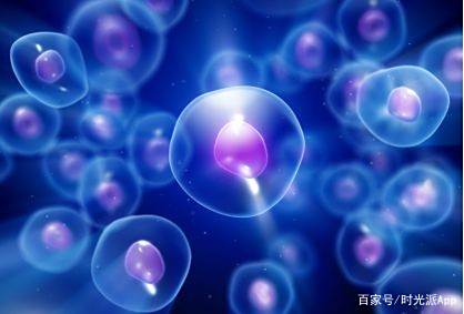 干细胞技术抗衰领域最新突破:将114岁老人体细胞“返老还童”! 干细胞技术抗衰领域最新突破:将114岁老人体细胞“返老还童”!