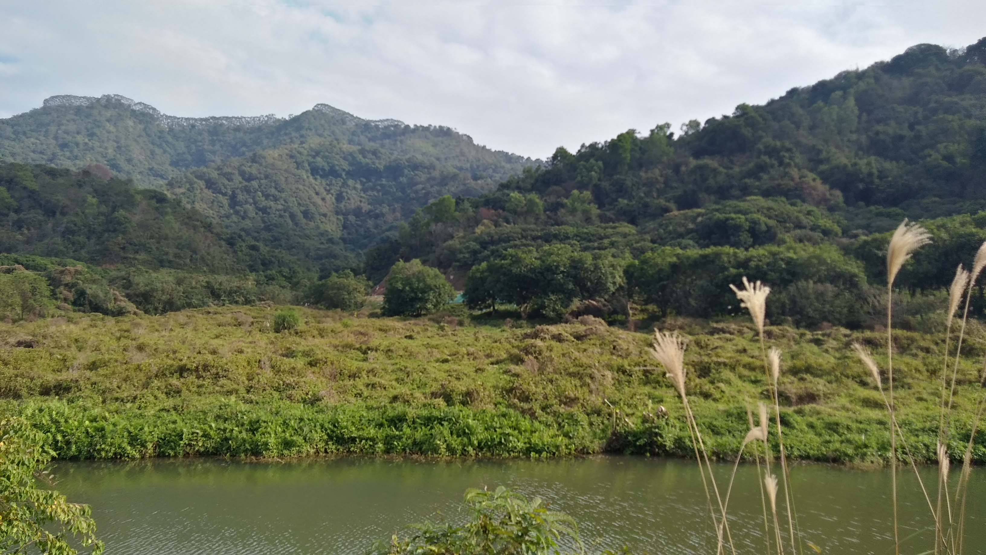 惠州观洞湖森林公园的一次难忘的徒步之旅