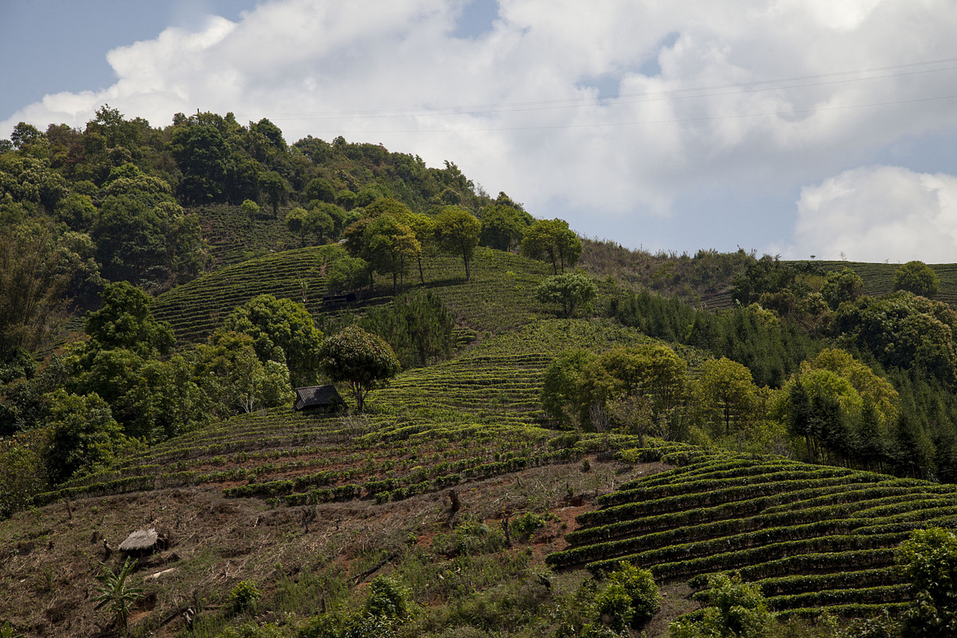 这座位于#镜头里的春天# 云南傣族自治州勐海县的翡翠明珠,既是佛教的