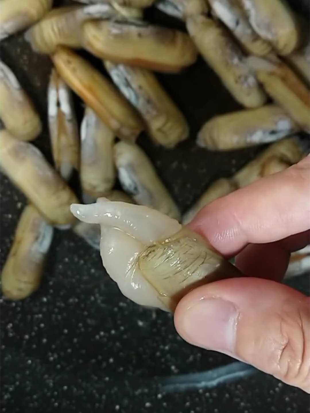 指甲螺肉多,味道鲜美,含碘和硒都比较丰富,适合孕妇,老人吃