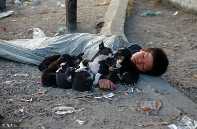 卖饼的他,每天剩下的饼给附近的流浪小孩,算命先生:会有大福报