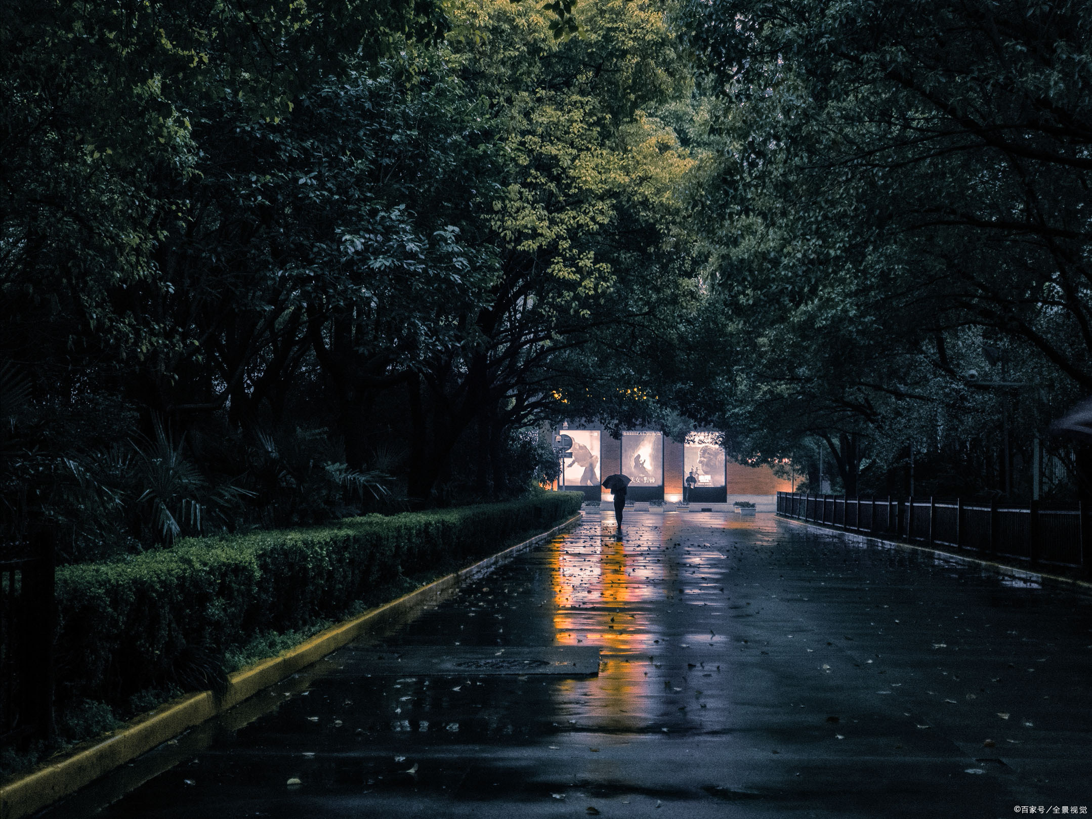 夜雨潇潇图片