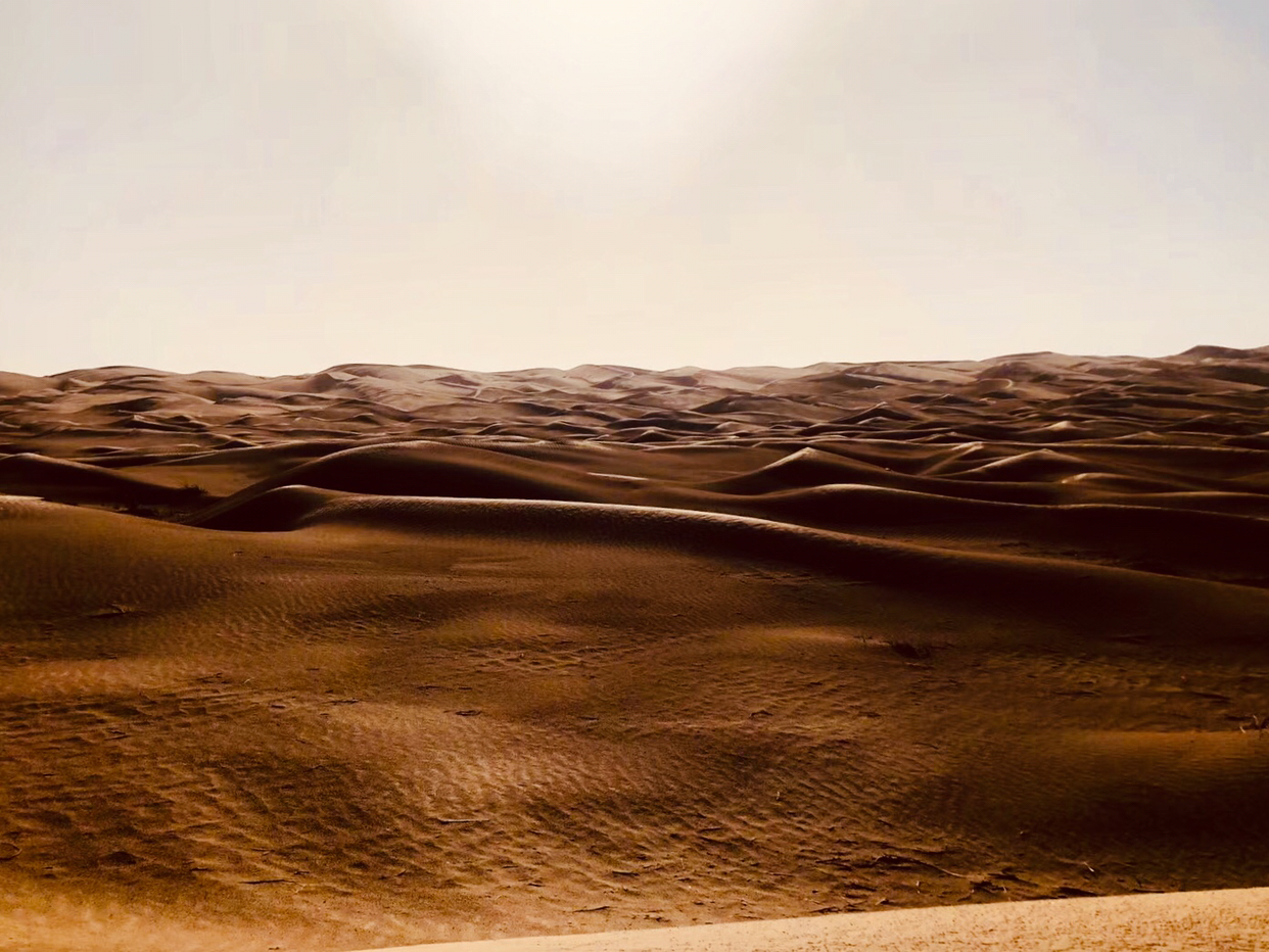 神秘而荒芜的流动沙丘