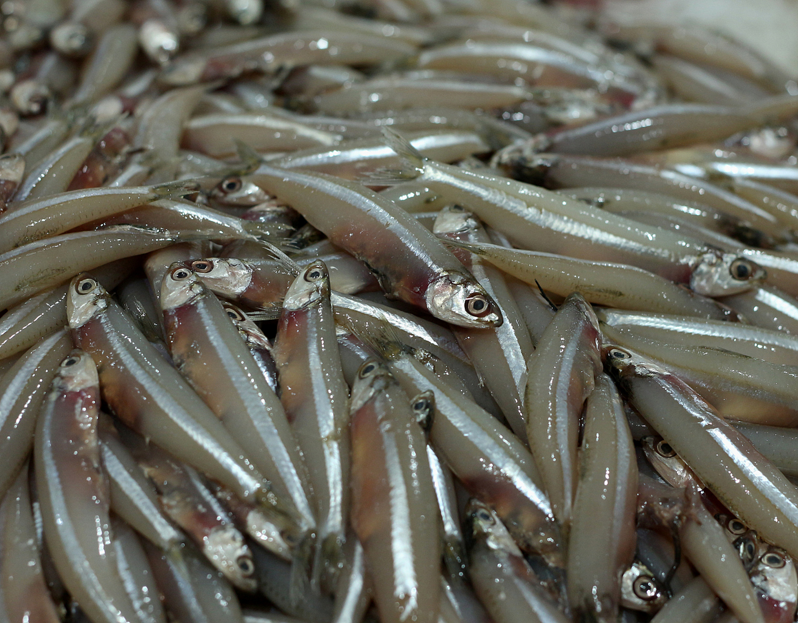 今天我要跟大家分享一个超级好吃的#乐享周末分享吧# 棒棒鱼做法!