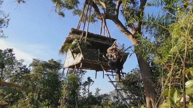 [图]国外男子用竹子在树上搭建了一座树屋，网友表示住一晚多少钱呢