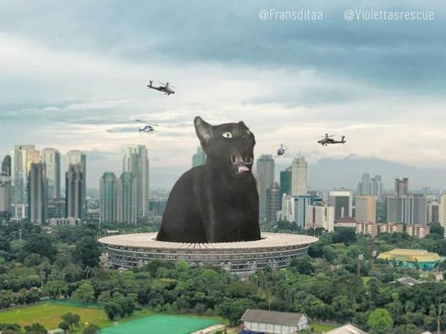 猫咪变成了能挑战哥斯拉的巨型怪兽,你还会继续爱它吗?