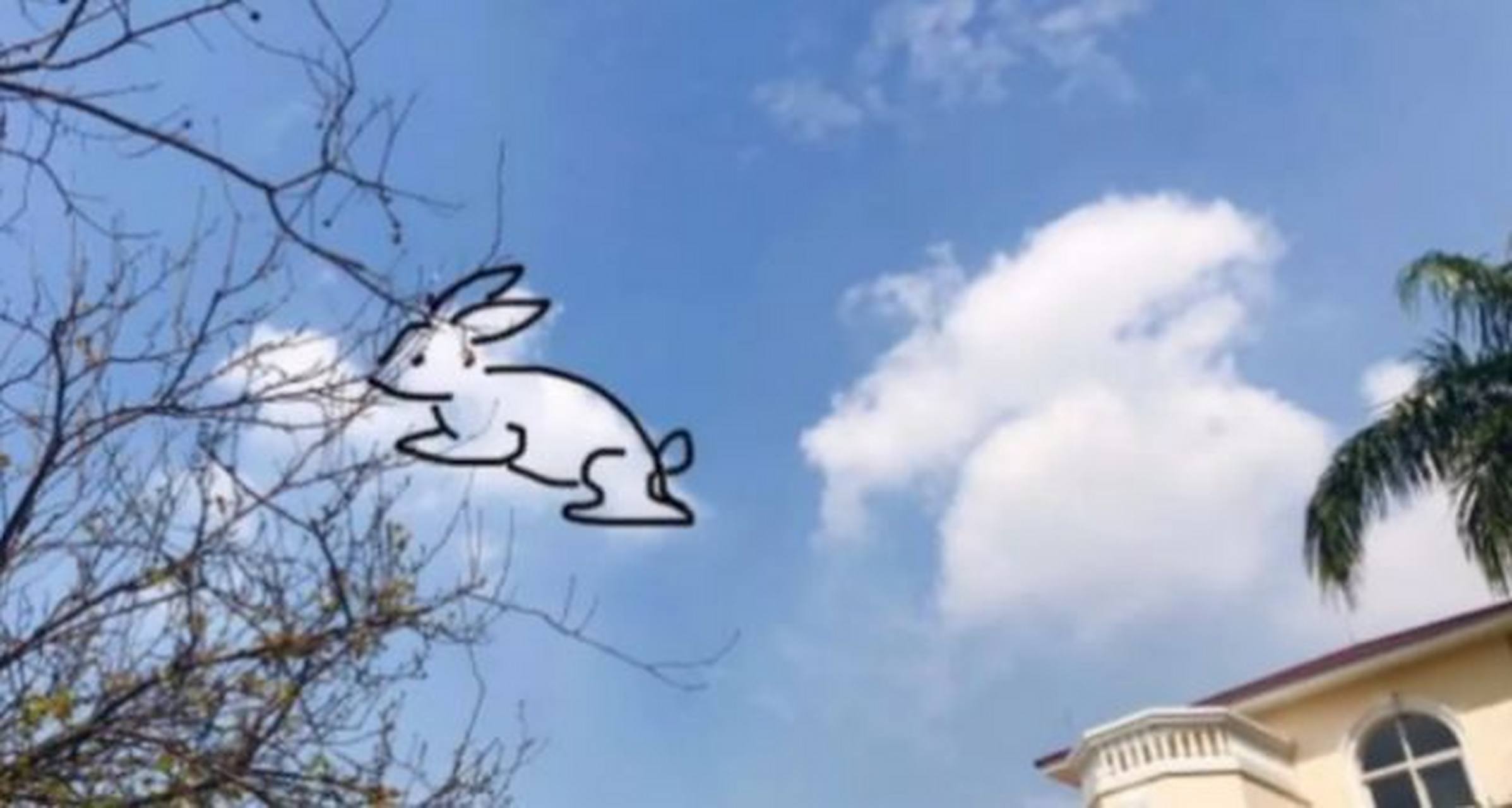 云朵描边大赛#【在云朵上作画】小兔子:小时候总喜欢跟爷爷去田抑中