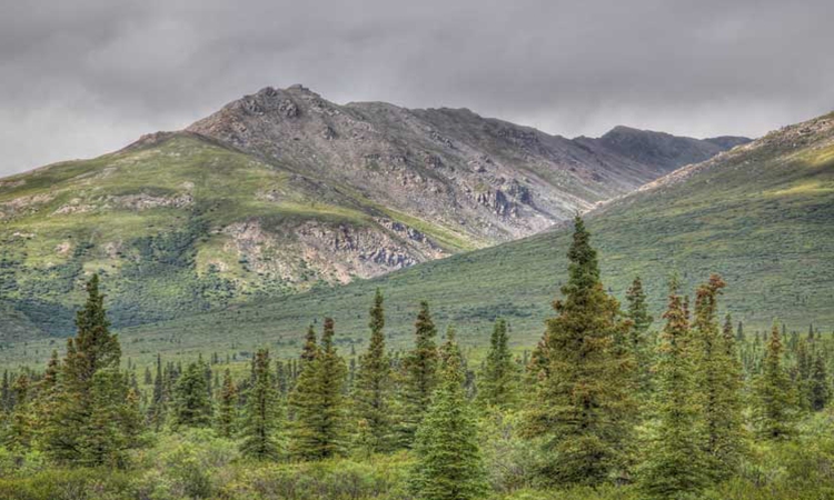 一些唯美的美景照片观看,大家喜欢这些吗?