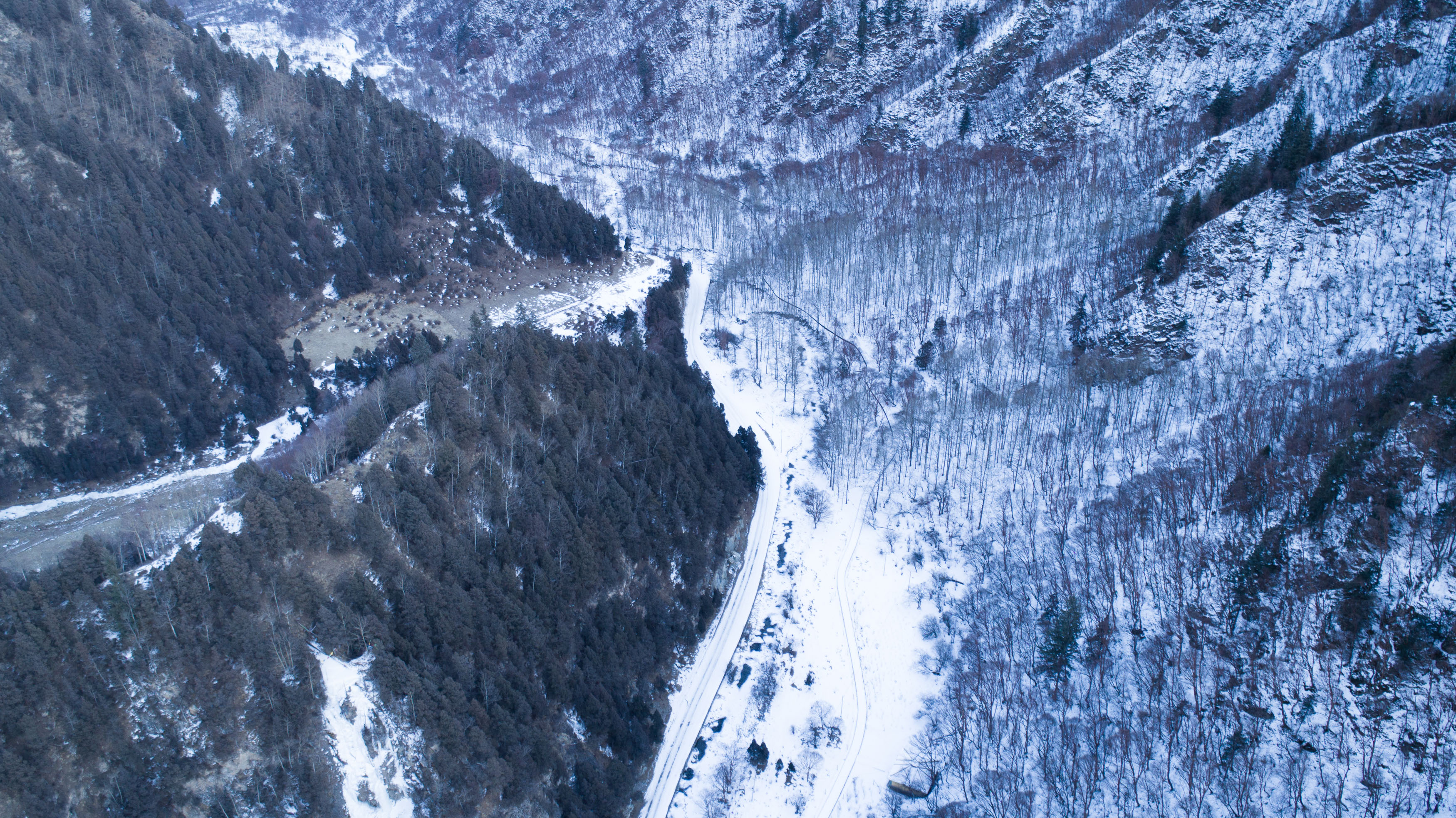 冬季北山的"林海雪原"