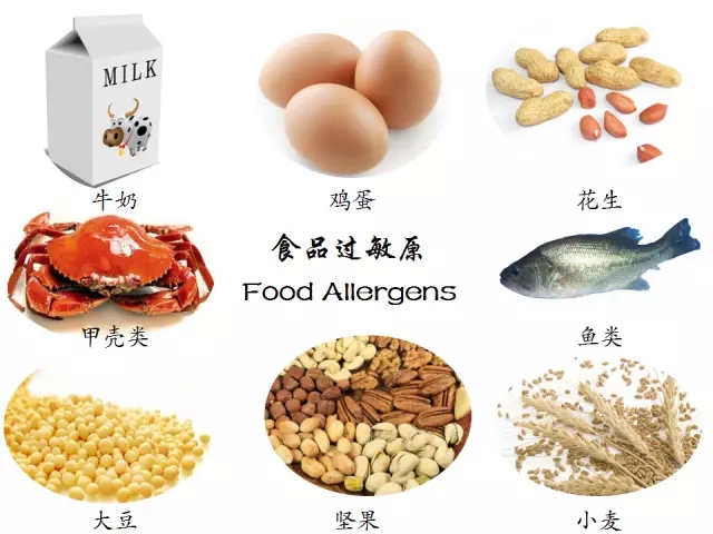 这八大食物过敏源,添加辅食需警惕.