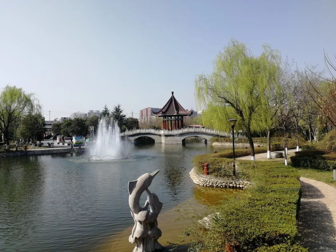 春满中国醉西安 | 高陵美景,邀您共赏——水景公园