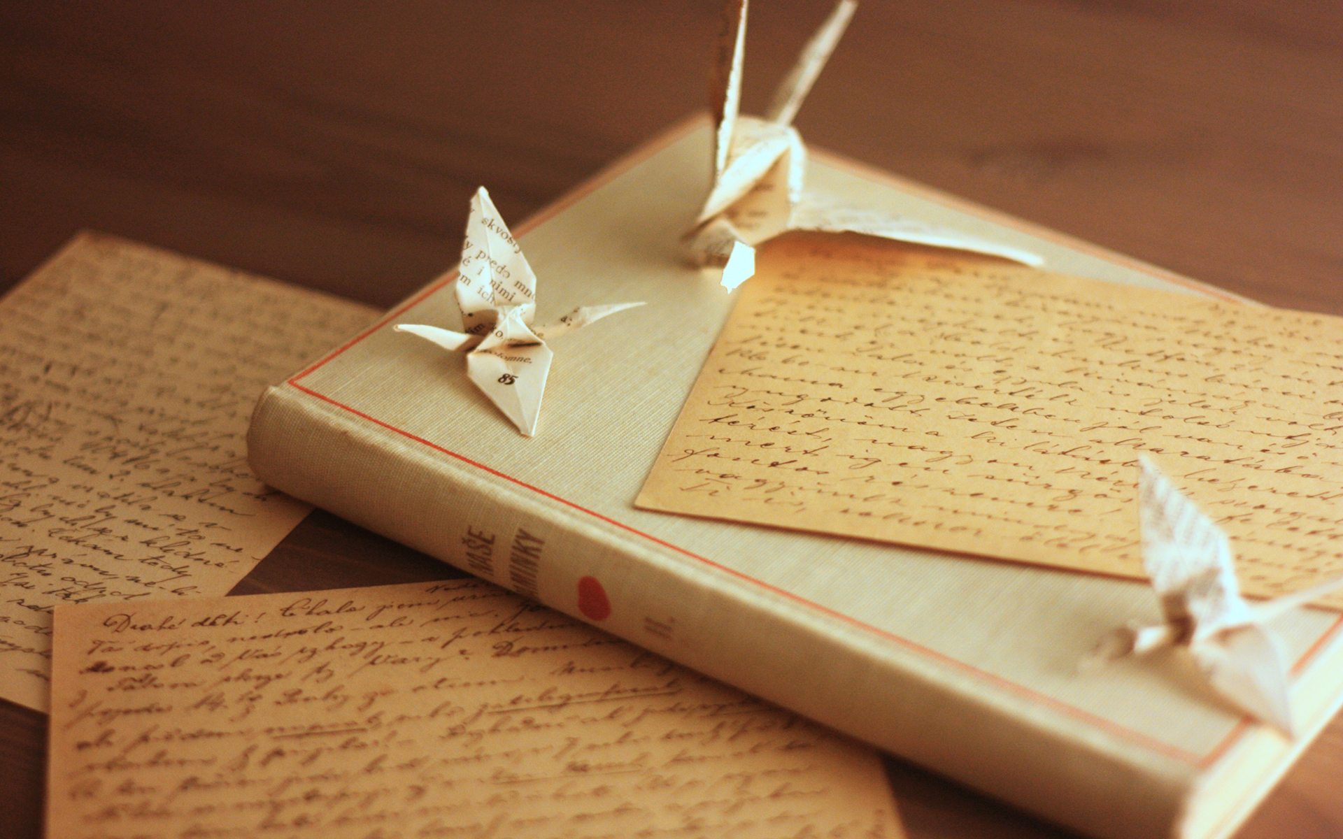 我们终将失去,愿余生来日可期