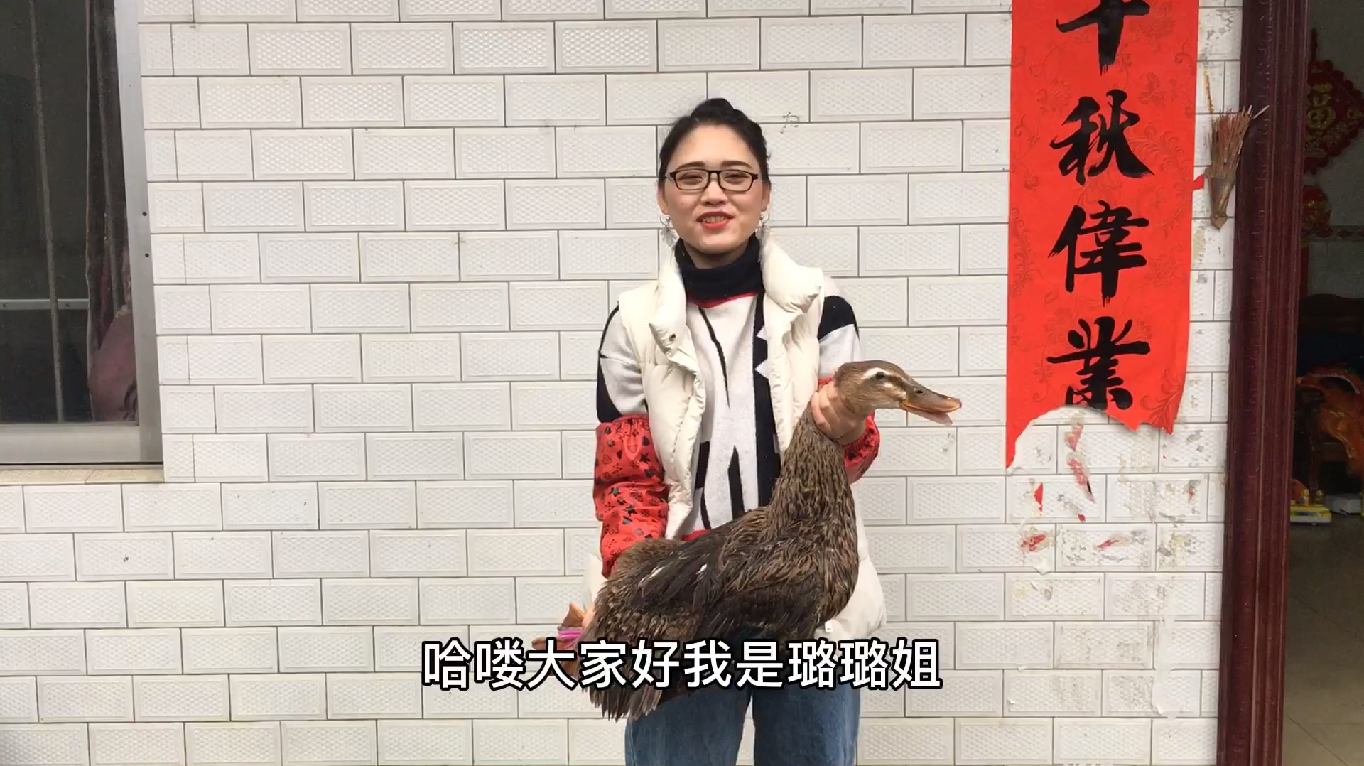 壮家姑娘杀鸭子,鸭子会诈死,怎么回事呢?