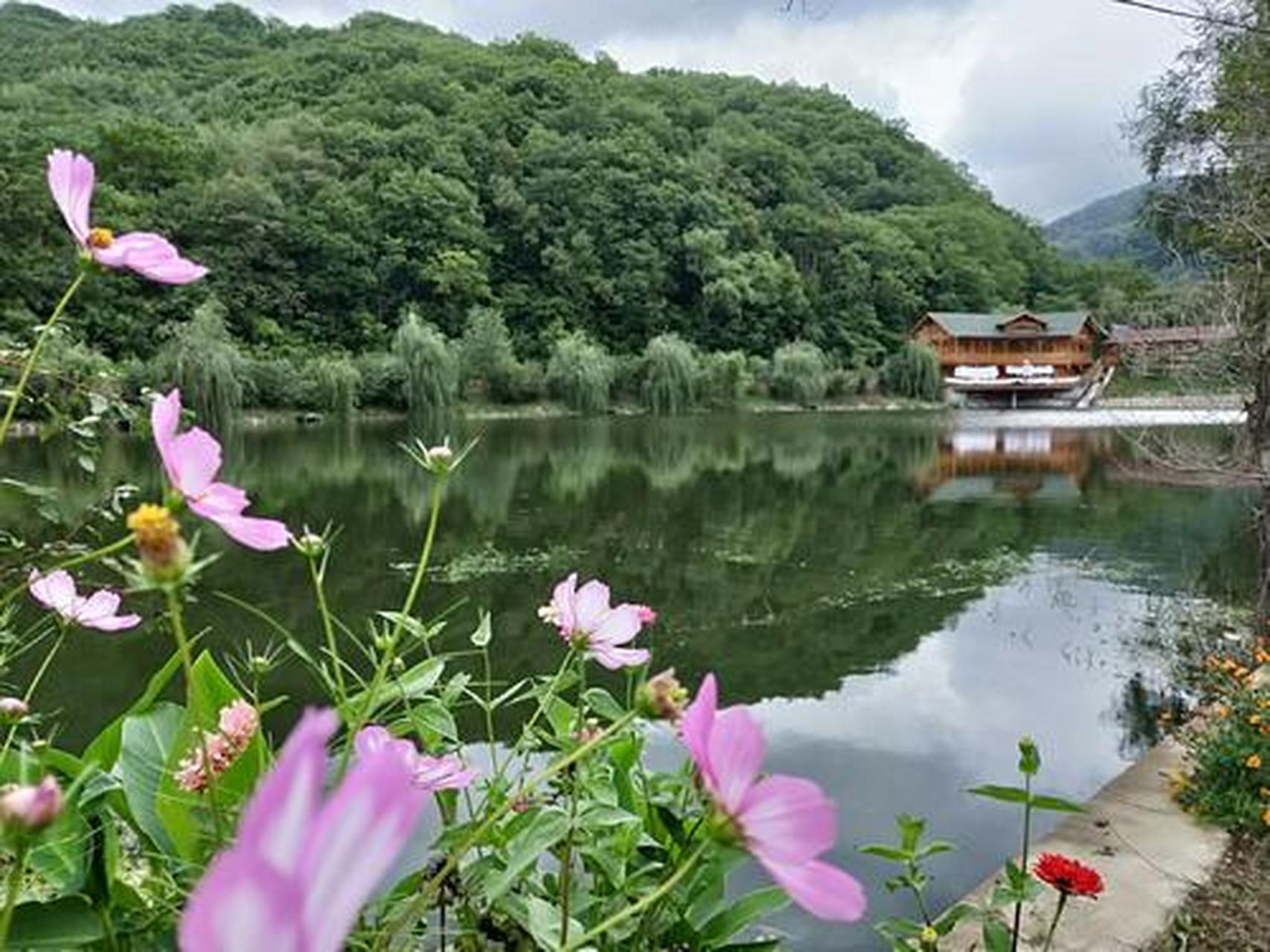 林海桃源景区位于廊坊市安次区葛渔城,总规划面积15780亩,森林覆盖率