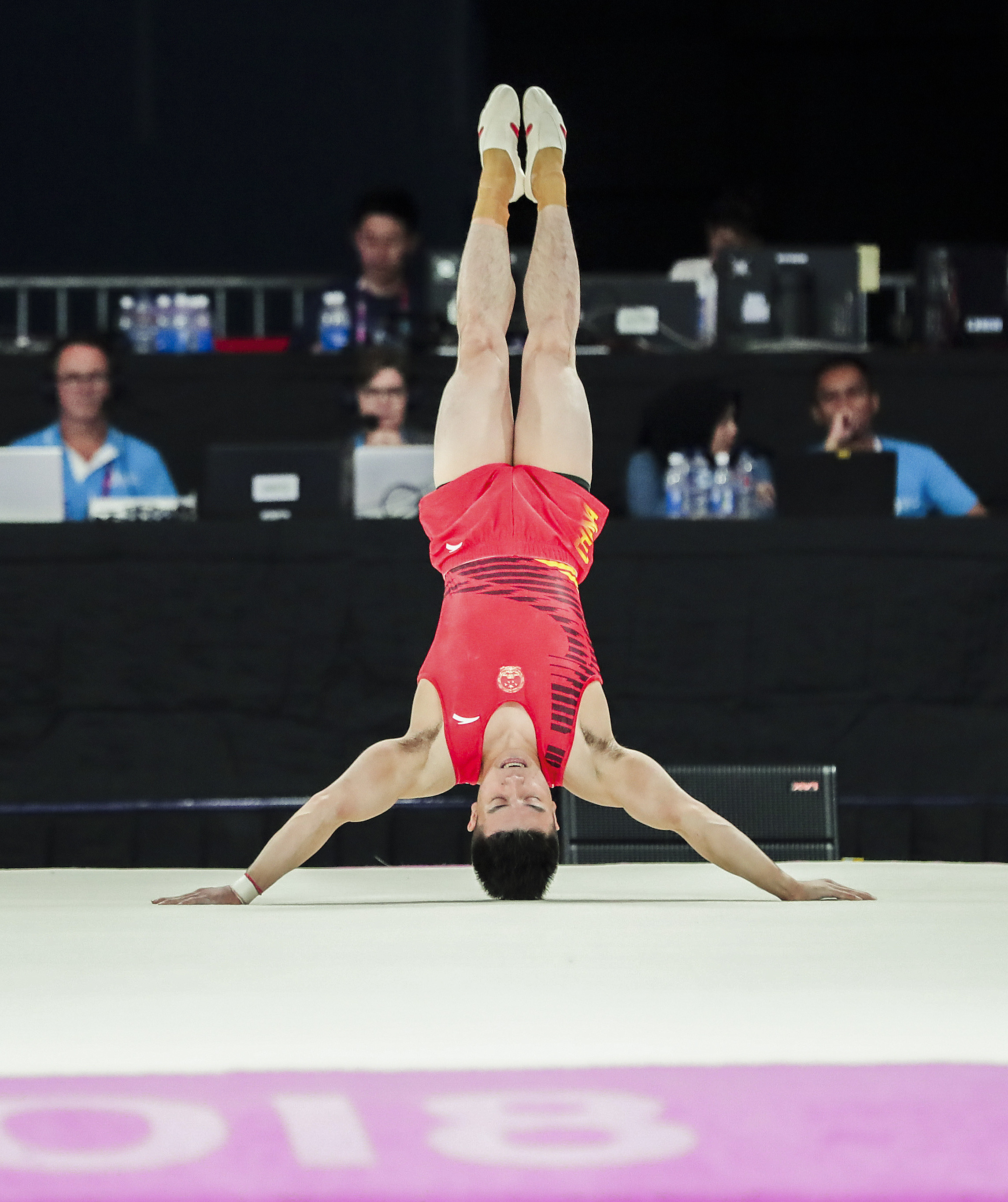 体操——林超攀获男子个人全能金牌(7)