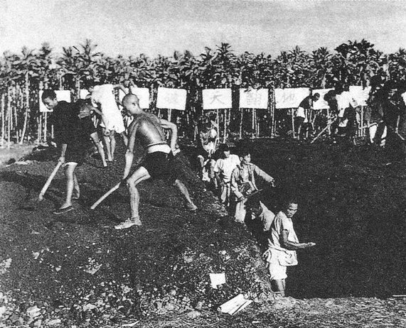 1958年大跃进老照片:卫星田高产万斤粮,炼钢铁砸锅又卖铁